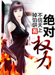 绝对权力小说