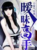 暧昧高手小说