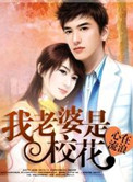 我老婆是校花小说