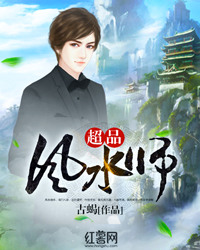 超品风水师小说