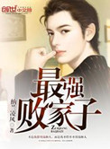 最强败家子小说