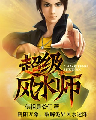 超级风水师小说