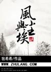 风与尘埃小说