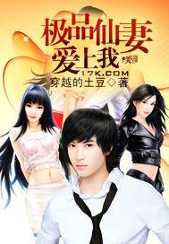 极品仙妻爱上我小说