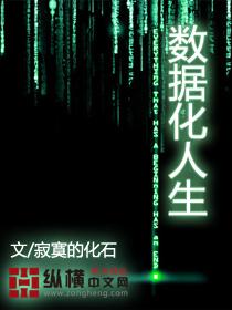 数据化人生小说