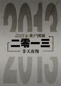 二零一三小说