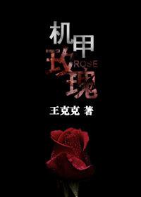机甲玫瑰小说