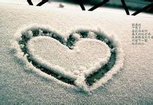 尸界末日狂想曲小说