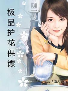 极品护花保镖小说