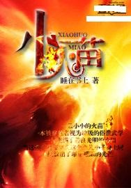 小火苗小说