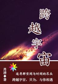 跨越宇宙小说