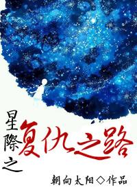 星际之复仇之路小说