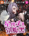 星统夫人别腹黑小说