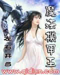 魔法机甲王小说