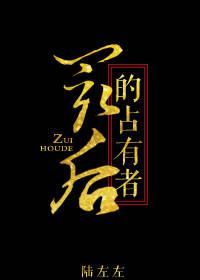 最后的占有者小说