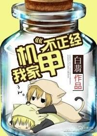 我家机甲不正经小说