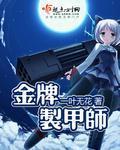 金牌制甲师小说