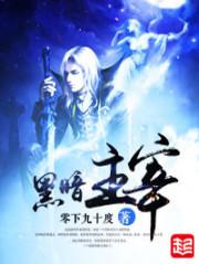 黑暗主宰小说