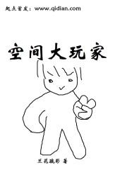 空间大玩家小说