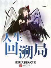 人生回溯局小说