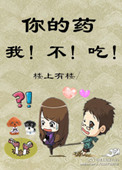 你的药，我不吃小说