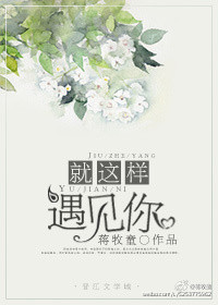 就这样遇见你小说