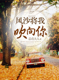 风沙将我吹向你小说