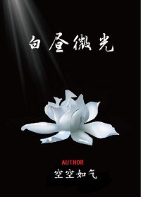 白昼微光小说