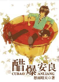 醋爆安良小说