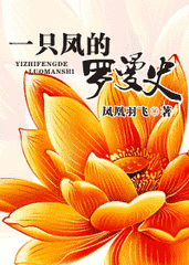 一只凤的罗曼史小说