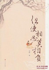 但使相思莫相负小说