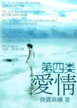 第四类爱情小说