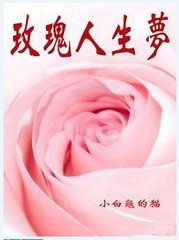 玫瑰人生梦小说