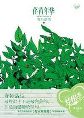 荏苒年华（出版书）小说