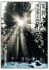等到雾霭散去的那一天小说