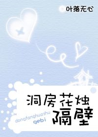 洞房花烛 隔壁小说