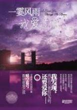 一霎风雨我爱过你(出书版)小说