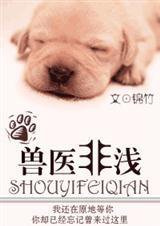 兽医非浅小说