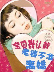 宝贝，我认栽：老婆，不准离婚小说