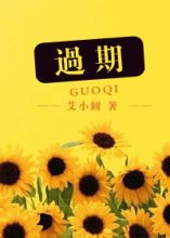 过期（出书版）小说