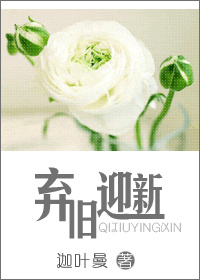弃旧迎新小说