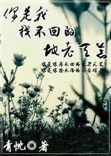 你是我找不回的地老天荒小说