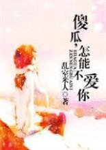 傻瓜，怎能不爱你小说