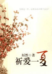 祈爱一夏小说