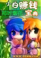 小白赚钱宝典小说