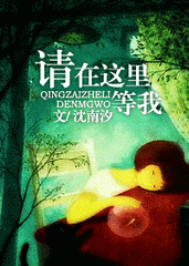 请在这里等我小说