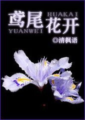鸢尾花开小说