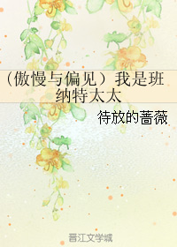 我是班纳特太太小说