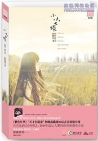 小尘埃（出书版）小说