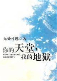 你的天堂，我的地狱小说